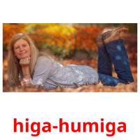 higa-humiga flashcards illustrate