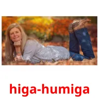 higa-humiga picture flashcards