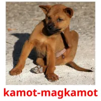 kamot-magkamot picture flashcards