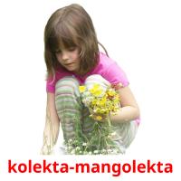 kolekta-mangolekta cartões com imagens
