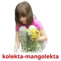 kolekta-mangolekta picture flashcards