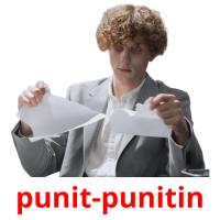 punit-punitin flashcards illustrate
