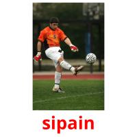 sipain picture flashcards