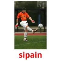 sipain picture flashcards