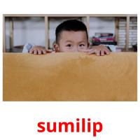 sumilip picture flashcards