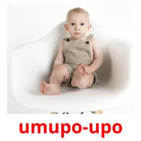 umupo-upo picture flashcards