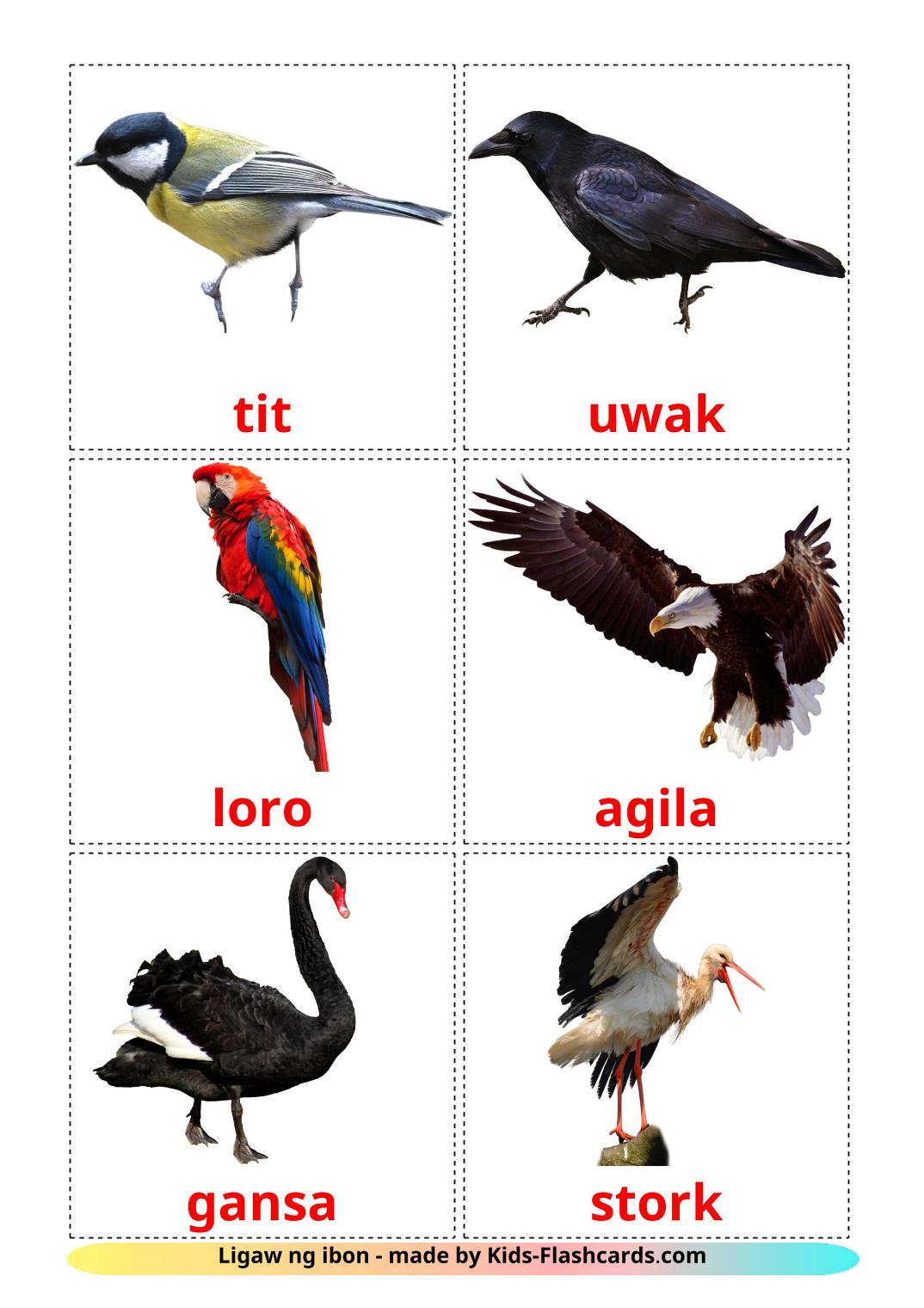 Wild birds - 18 Free Printable filipino Flashcards 
