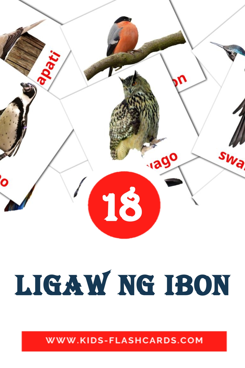 18 ligaw ng ibon Picture Cards for Kindergarden in filipino