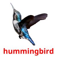 hummingbird card for translate