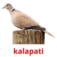 kalapati card for translate