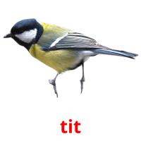 tit card for translate