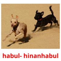 habul- hinanhabul flashcards illustrate