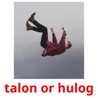 talon or hulog flashcards illustrate