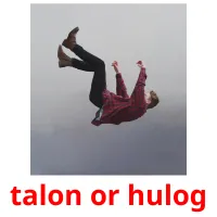 talon or hulog Bildkarteikarten