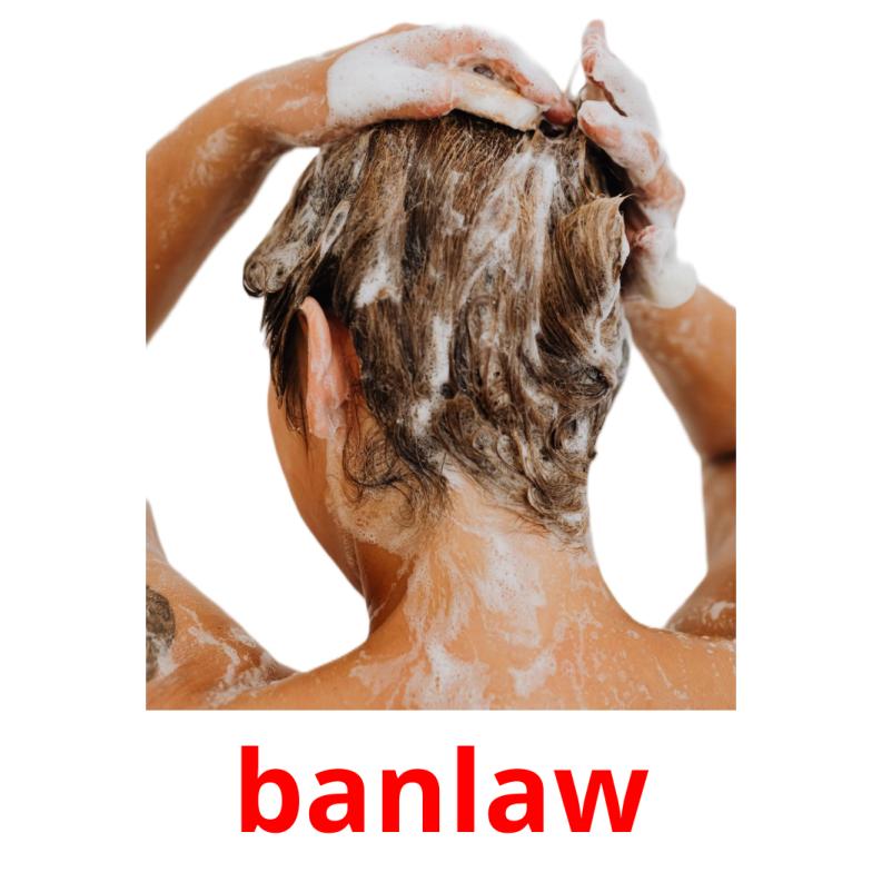 banlaw picture flashcards