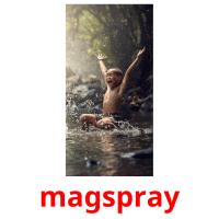 magspray picture flashcards