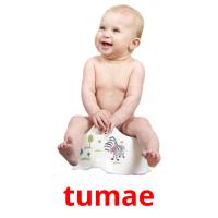 tumae picture flashcards