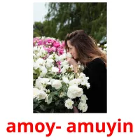 amoy- amuyin picture flashcards