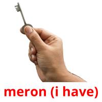 meron (i have) picture flashcards