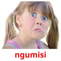 ngumisi picture flashcards