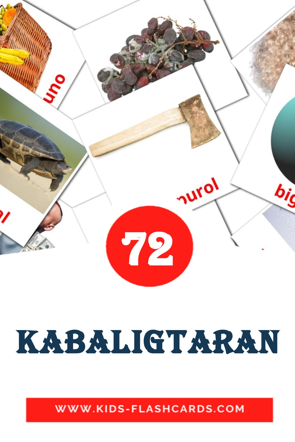 74 Kabaligtaran Picture Cards for Kindergarden in filipino