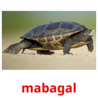 mabagal card for translate