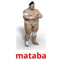 mataba card for translate