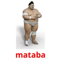 mataba cartões com imagens