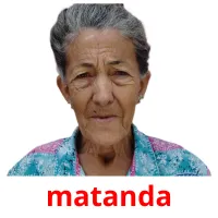 matanda cartões com imagens