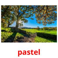 pastel picture flashcards