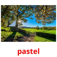 pastel cartões com imagens