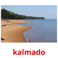 kalmado карточки энциклопедических знаний