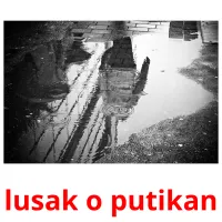 lusak o putikan карточки энциклопедических знаний