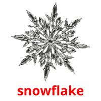 snowflake Tarjetas didacticas