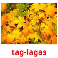 tag-lagas flashcards illustrate