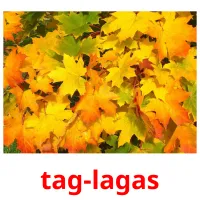 tag-lagas карточки энциклопедических знаний