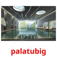 palatubig picture flashcards