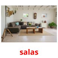 salas picture flashcards