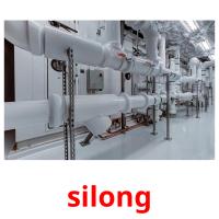 silong picture flashcards