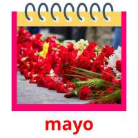 mayo card for translate