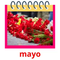 mayo picture flashcards