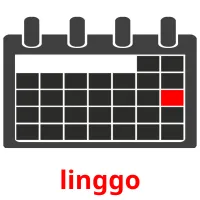 linggo picture flashcards