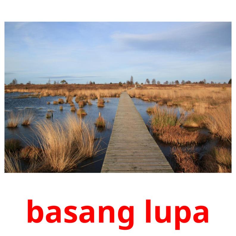 basang lupa picture flashcards