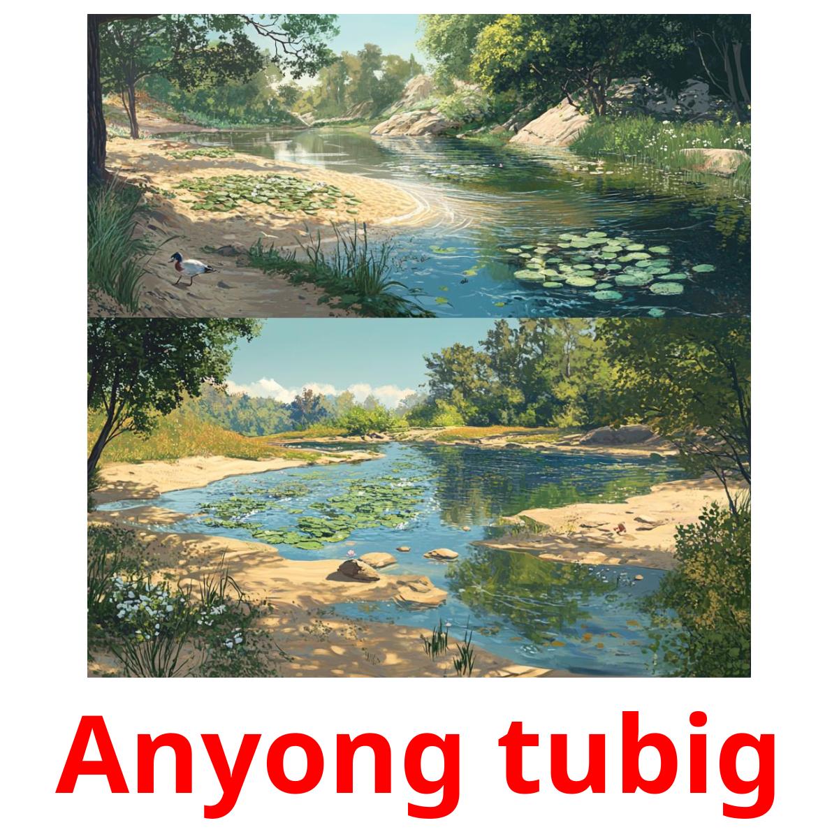 Anyong tubig Tarjetas didacticas