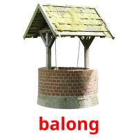 balong picture flashcards