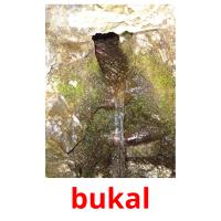 bukal card for translate