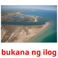 bukana ng ilog карточки энциклопедических знаний