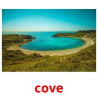 cove picture flashcards