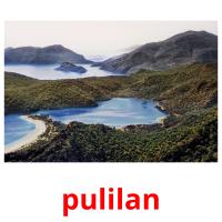 pulilan picture flashcards