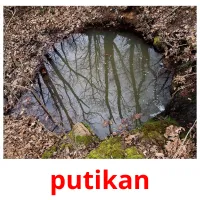 putikan карточки энциклопедических знаний